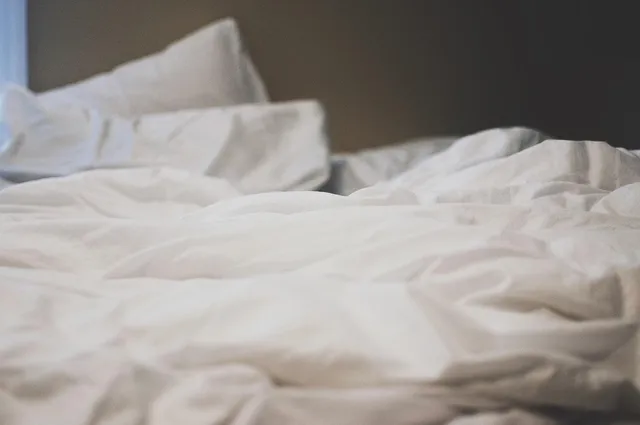 Minimalist Bedroom 7